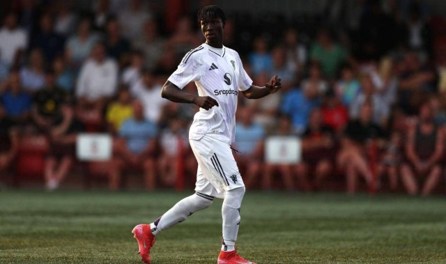 曼联小妖头部受重创被抬下，比赛直接取消！阿莫林征召一人参与备战阿森纳