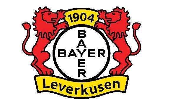 受天气影响！官方：德甲第17轮汉堡vs勒沃库森的比赛延期